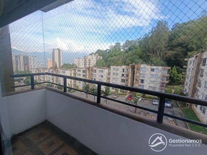 WhatsApp Image 2026-01-16 at 3.38.47 PM.jpeg